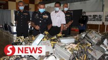 Johor cops bust bitcoin mining syndicate for electricity theft