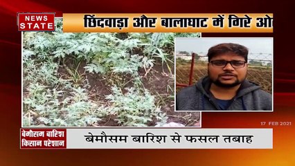 बेमौसम बरसात से बढ़ी किसानों की चिंता, फसल हुआ बर्बाद