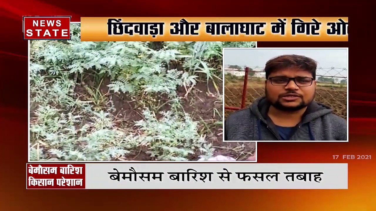बेमौसम बरसात से बढ़ी किसानों की चिंता, फसल हुआ बर्बाद