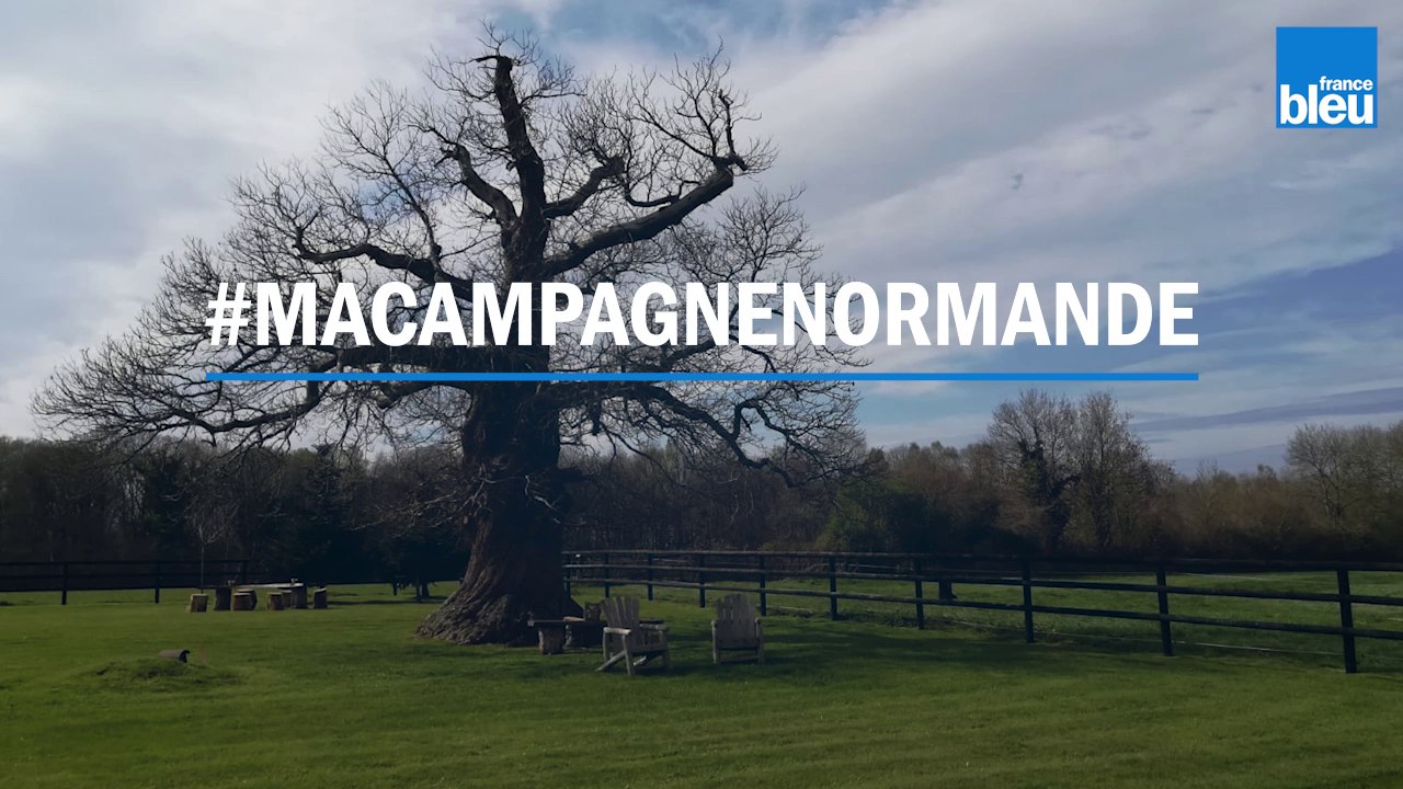 Ma campagne Normande