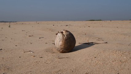 ÁGUAS PASSADAS | O INÍCIO