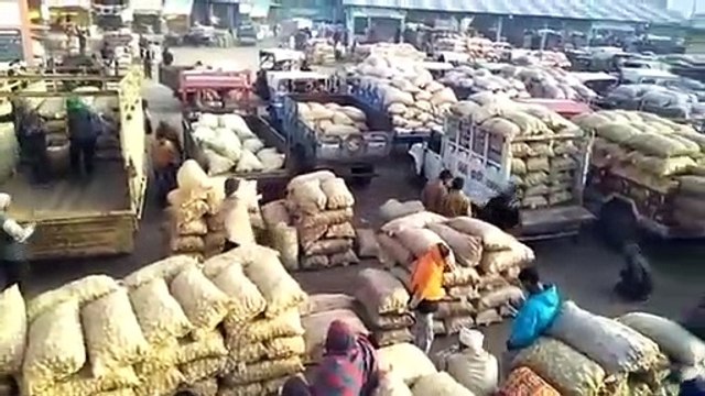 शाजापुर की कृषि उपज मंडी में सोयाबीन के भाव में आया जबरदस्त उछाल