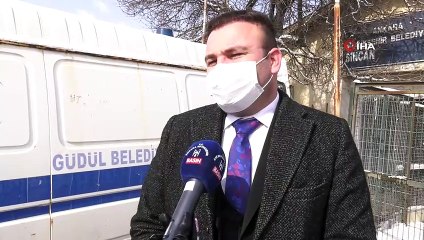 Ankara Büyükşehir Belediyesi’nden can dostlar için soğuk günlerde gönüllülerle iş birliği