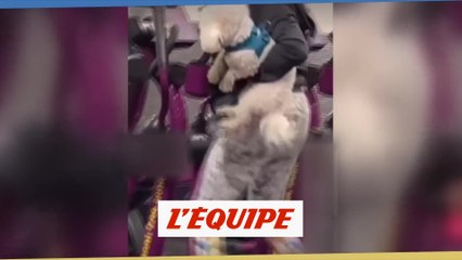 La petite lucarne du 17 février 2021 - Tous sport - EDE