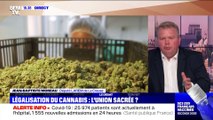 Faut-il légaliser ou pas le cannabis ? - 17/02