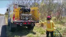 ext-bomberos-del-sinac-tratan-de-controlar-incendio-forestal-guanacaste-170221
