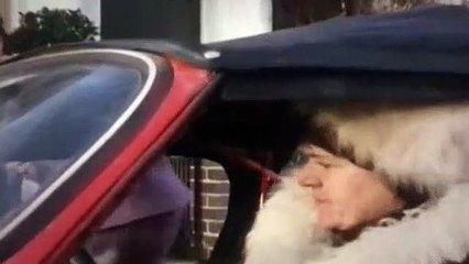 Doctor Who S18E25 Logopolis Pt 1 - (1963)