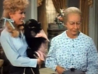 The Beverly Hillbillies Season 6 Episode 25 The Clampetts Fiddle Around