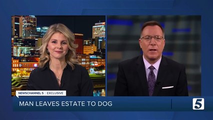 كلب رجل أعمال راحل يرث 5 ملايين دولار