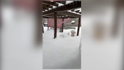 ext-nieve-estados-unidos-170221