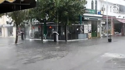 Bodrum'da denizin rengi değişti