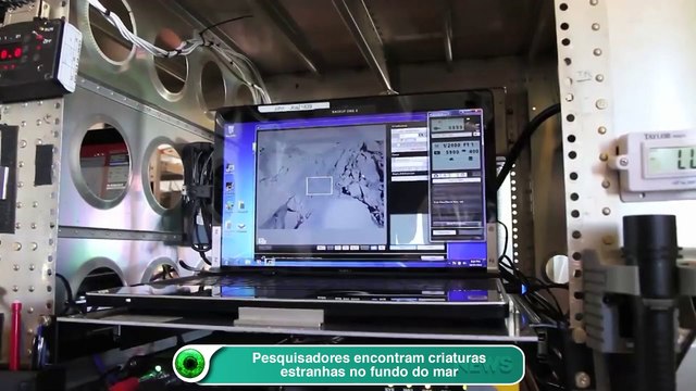 Pesquisadores encontram criaturas estranhas no fundo do mar