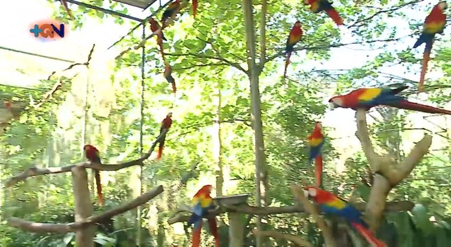 mqn-lapas-especial-170221