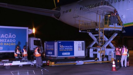 Mais de 230 milhões de doses distribuídas até julho