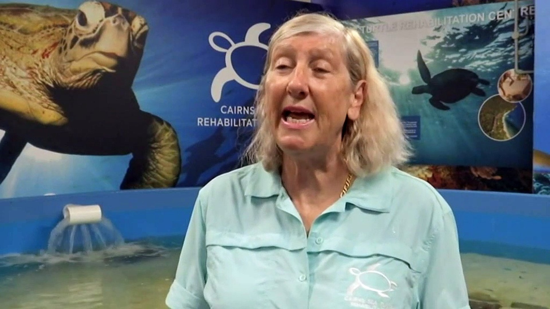 Artificial intelligence protecting nesting sites in Queensland