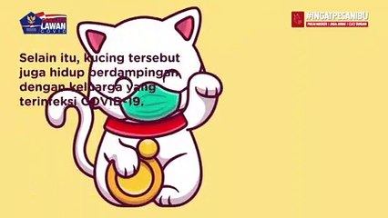 Hati-hati, Kucing Kamu Juga Bisa Tertular Virus Corona!