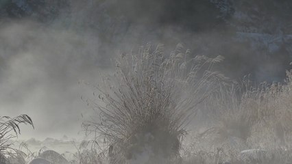 [날씨] 막바지 한파 내일 풀려...동해안 강풍에 '산불 비상' / YTN