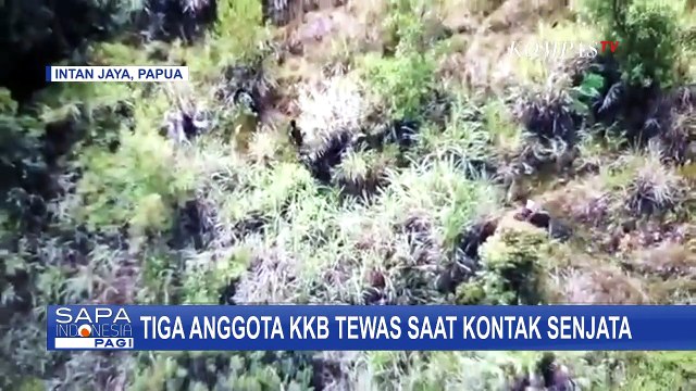 3 Kelompok Kriminal Bersenjata Tewas Ditembak Aparat