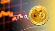 How And Where Can You Buy Dogecoin In India?