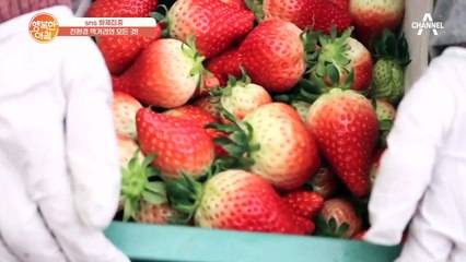 농약 뿌려야 한다는 건 옛말! '유기농자재'의 정체는?