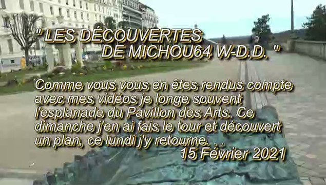 LES DÉCOUVERTES DE MICHOU64 W-D.D. - 15 FÉVRIER 2021 - PAU - UN PLAN EN RELIEF SUR L'ESPLANADE DU PAVILLON DES ARTS