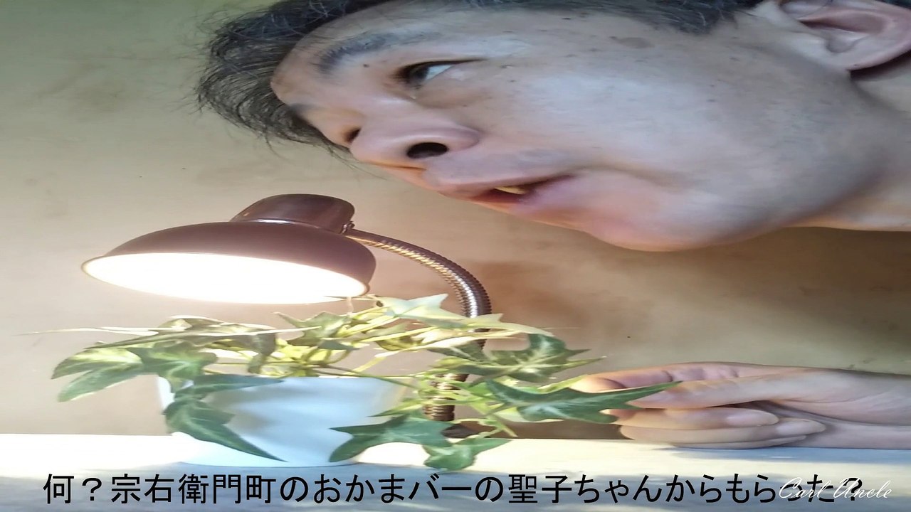 偉大なエリート刑事