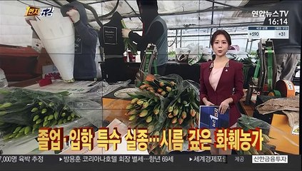 Download Video: [1번지五감] 졸업·입학 특수 실종…시름 깊은 화훼농가 外