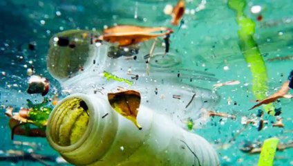 Adları tek tek açıklandı! Üst siyonist sermayeli şirketler çevreyi kirletiyor