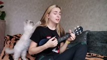Annoyed Cat Interrupts Owner While She Tries to Sing