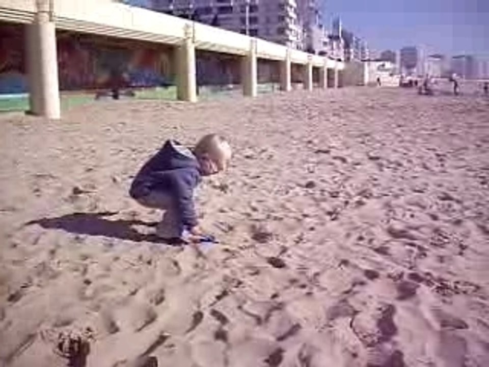 Léo à la plage