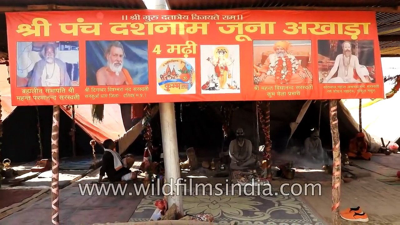 Indian sadhu hangs around at the Kumbh Mela, as...