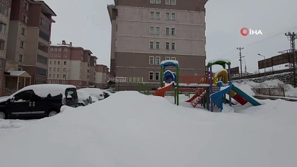 Bitlis’te 188 köy yolu kar nedeniyle ulaşıma kapandı