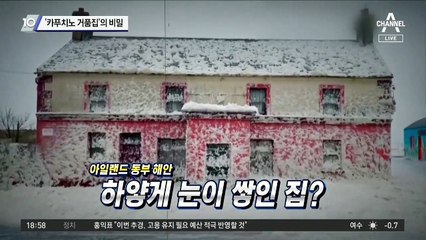 ‘카푸치노 거품집’의 비밀