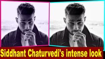 Siddhant Chaturvedi think in black and white