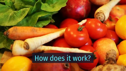 Weight Watchers Diet