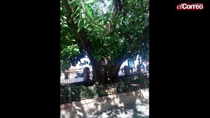 María Graciani nos explica su teoría: "Hablando con el cielo"