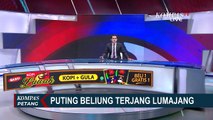 Detik-Detik Angin Puting Beliung Terjang Lumajang, Jawa Timur