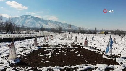 Çiftçiden zirai dona karşı sıra dışı önlem