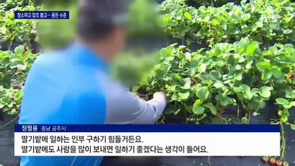 노인 공공일자리, 청소·잡초 뽑기…“땜질식 용돈 주기 우려”
