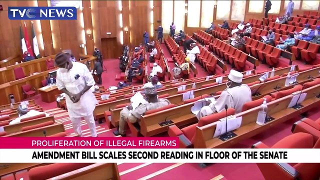 Proliferation of illegal arms: Amendment Bills scales second reading in the floor of the senate