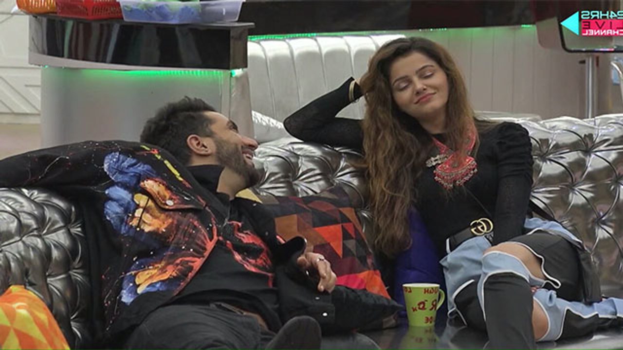 Bigg Boss 14; Jasmin और Rubina को दोस्त बनाना चाहते हैं Aly Goni |FilmiBeat