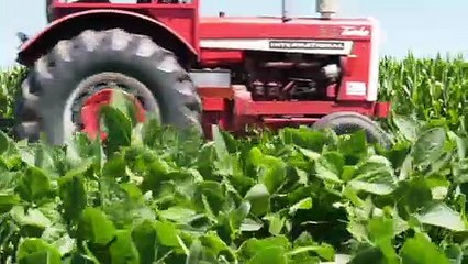 Bidens Schwenk bringt Chance auf Klima-Kooperation mit der EU