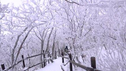 [영상] 산 정상에 핀 순백의 눈꽃 / YTN