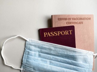  Will We Need A Vaccine Passport to Travel?