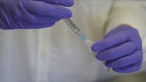 España recibirá 8 millones de vacunas entre febrero y marzo