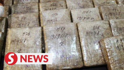PM: M'sia will not change control status of cannabis, cannabis resin