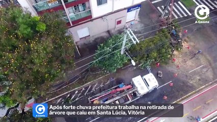 Télécharger la video: Após forte chuva prefeitura trabalha na retirada de árvore que caiu em Santa Lúcia, Vitória