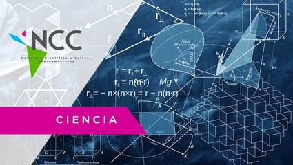 La física cuántica podría ayudar a mejorar las políticas públicas