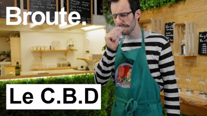 Le CBD, vous connaissez ? - Broute - CANAL+