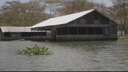 UN report highlights perils of world's environmental destruction